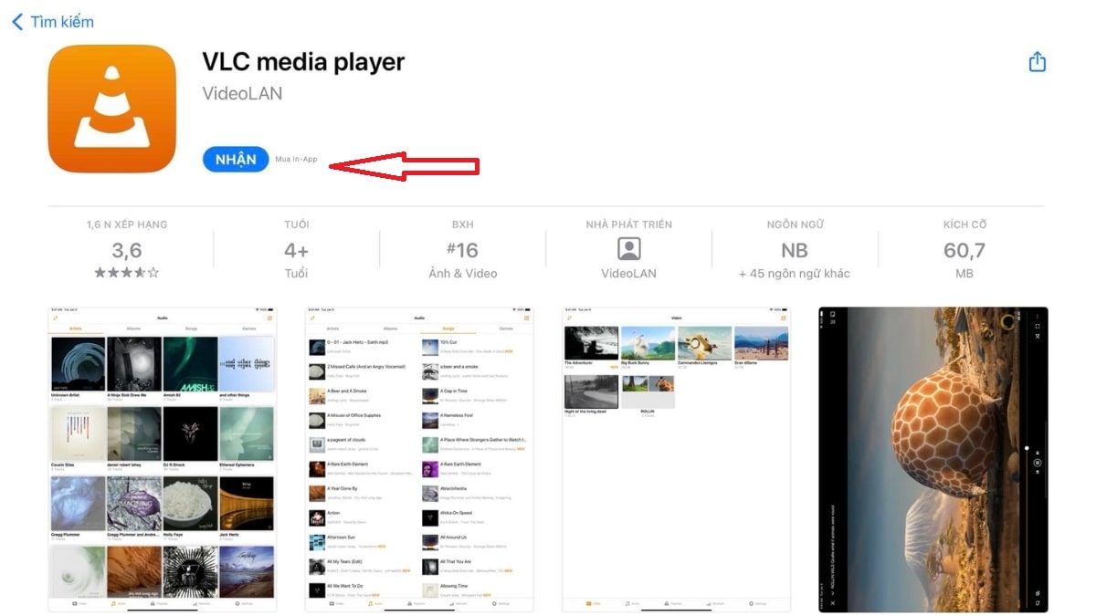 Cách tải VLC Media Player trên iOS bước 2