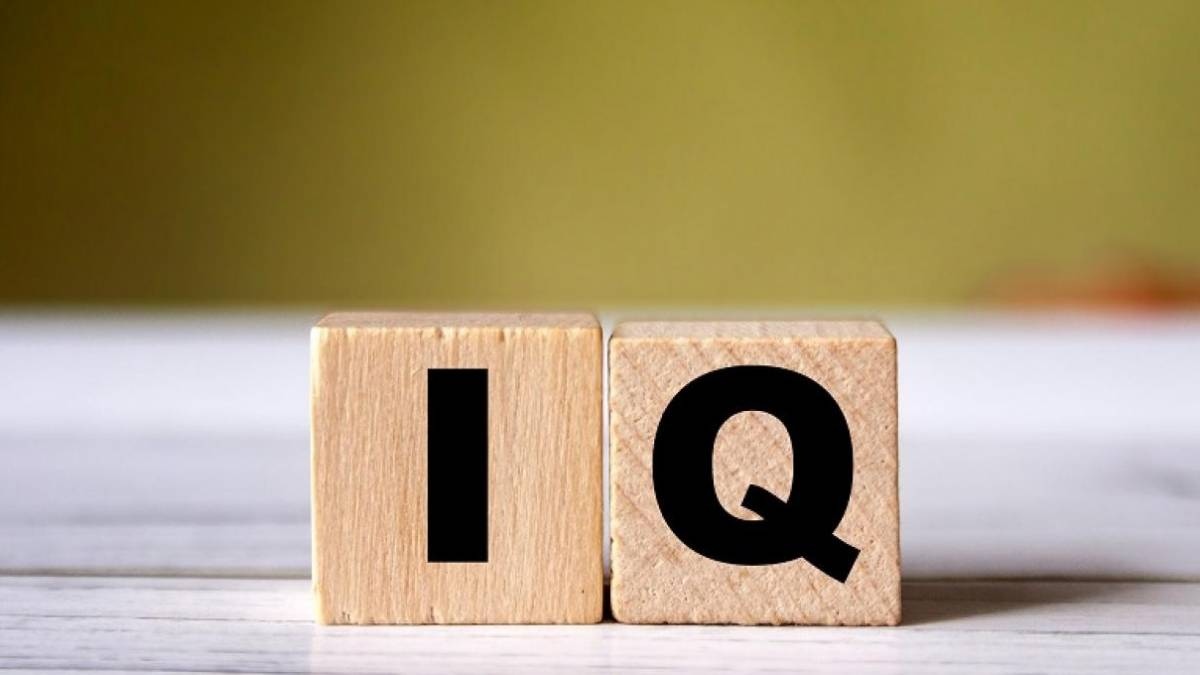 Test IQ là gì?