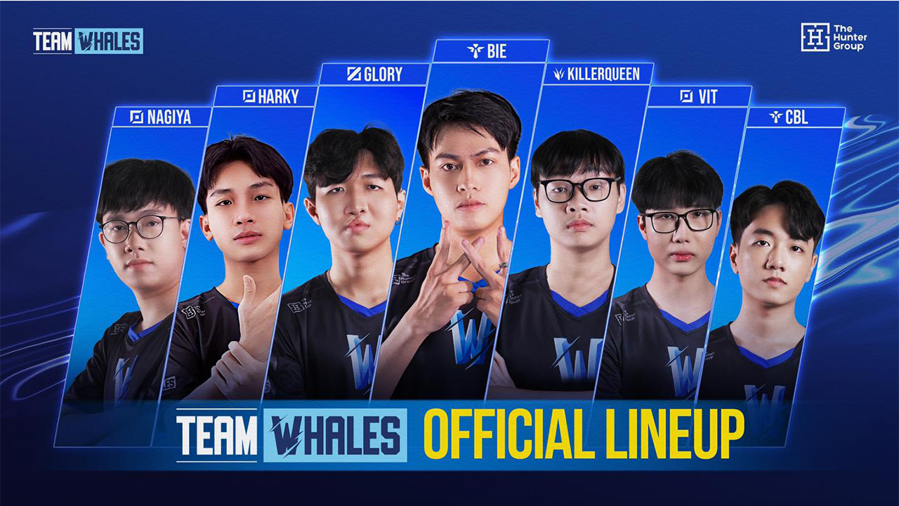 Team Whales