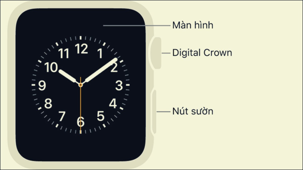 Nút nguồn Apple Watch ở đâu?