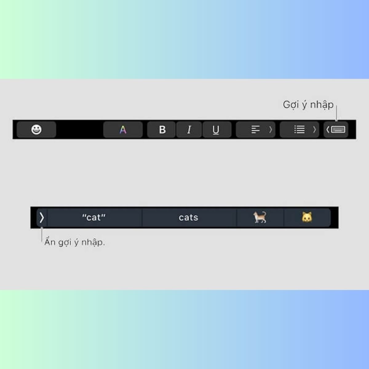 Hướng dẫn sử dụng Touch Bar - Hình 3