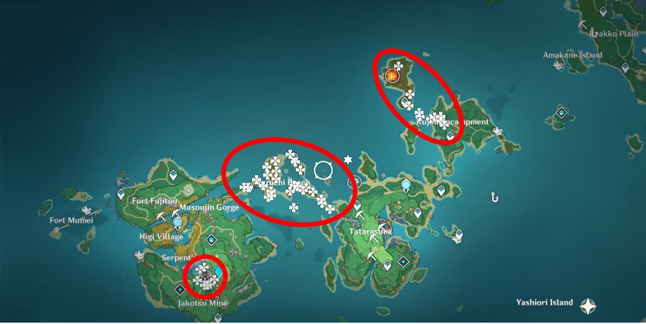 Những khu vực có Hoa Lan Máu 