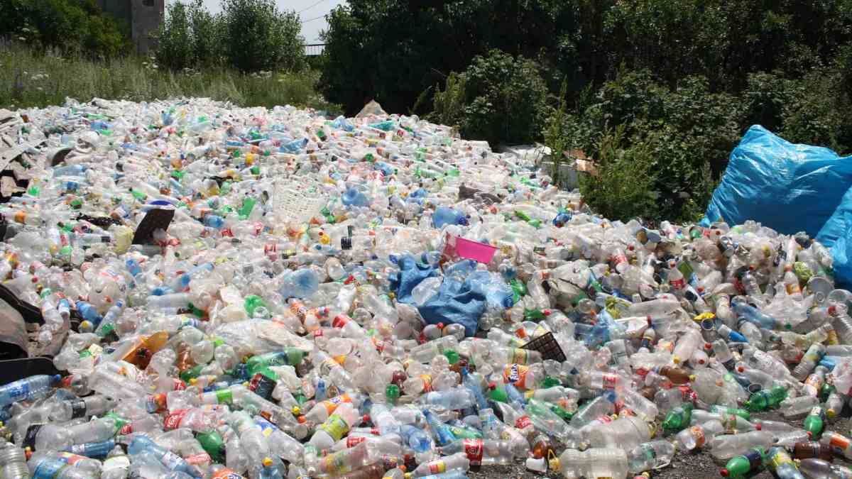 Chủ đề ngày môi trường thế giới năm 2023