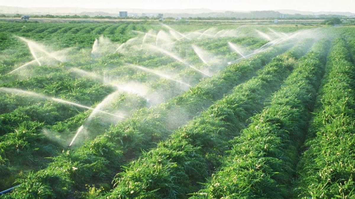 Để bảo vệ trái đất con người cần Tránh dùng các chất thuốc xịt hoặc phun bảo vệ cây trồng