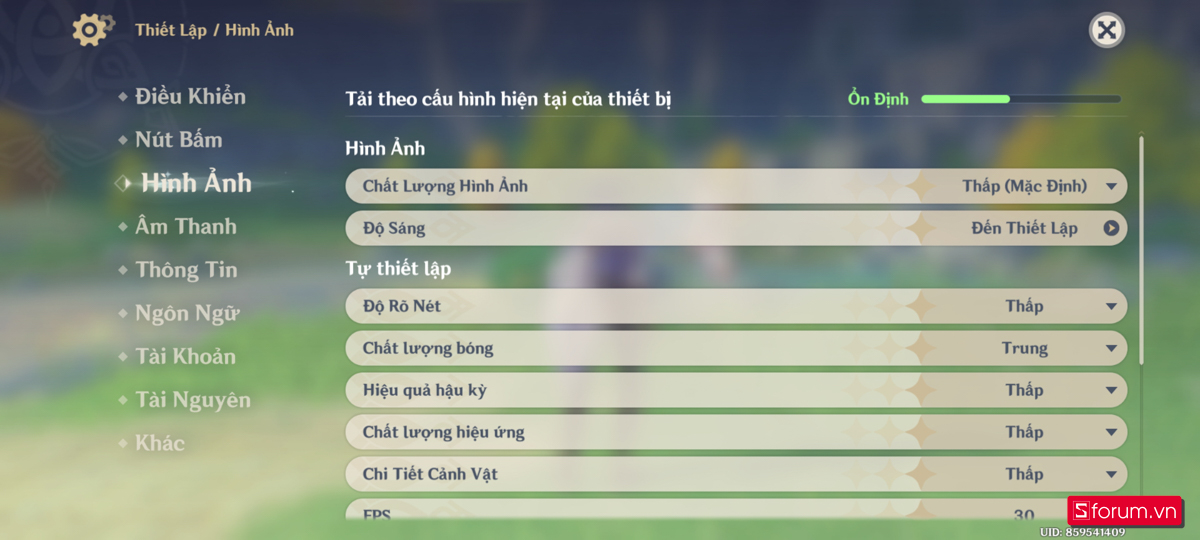 Thiết lập đồ hoạ được sử dụng trong quá trình thử nghiệm
