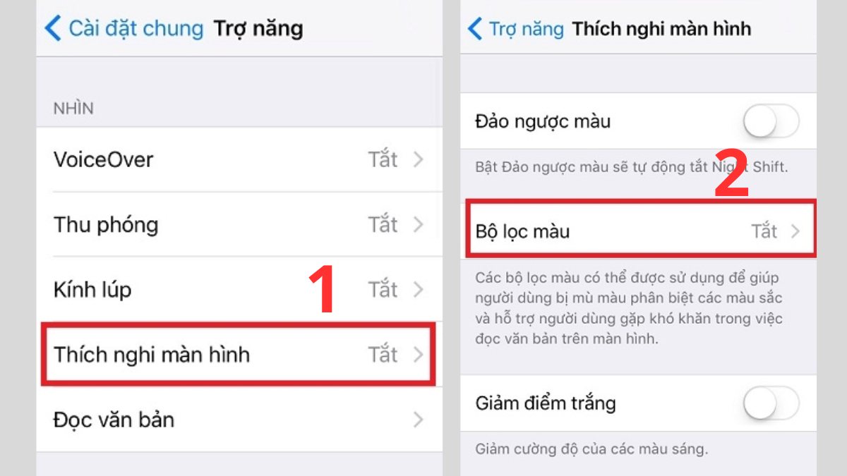 Hướng dẫn cách bật, tắt bộ lọc màu trên iPhone bước 2