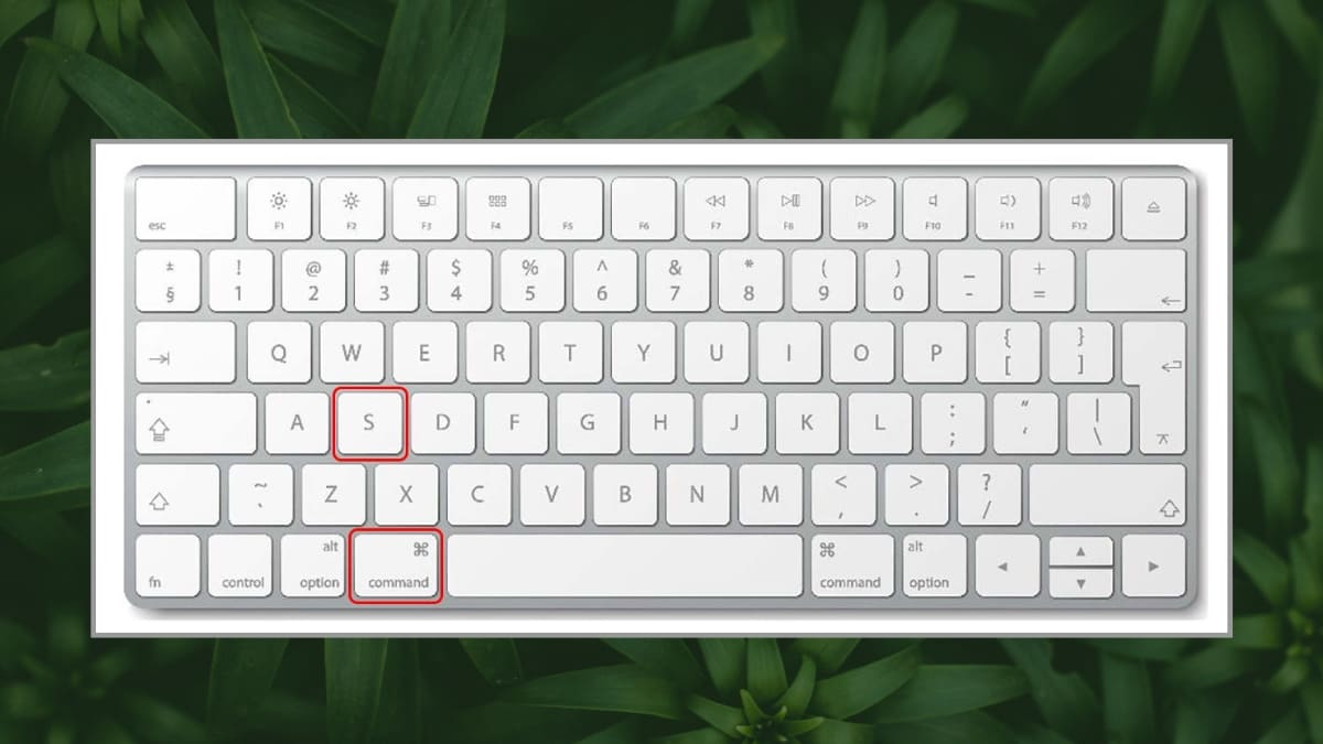 Cách lưu file Word trên MacBook 1