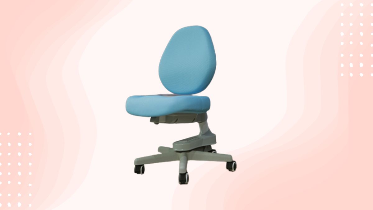 Review ghế chống gù DRY- 502