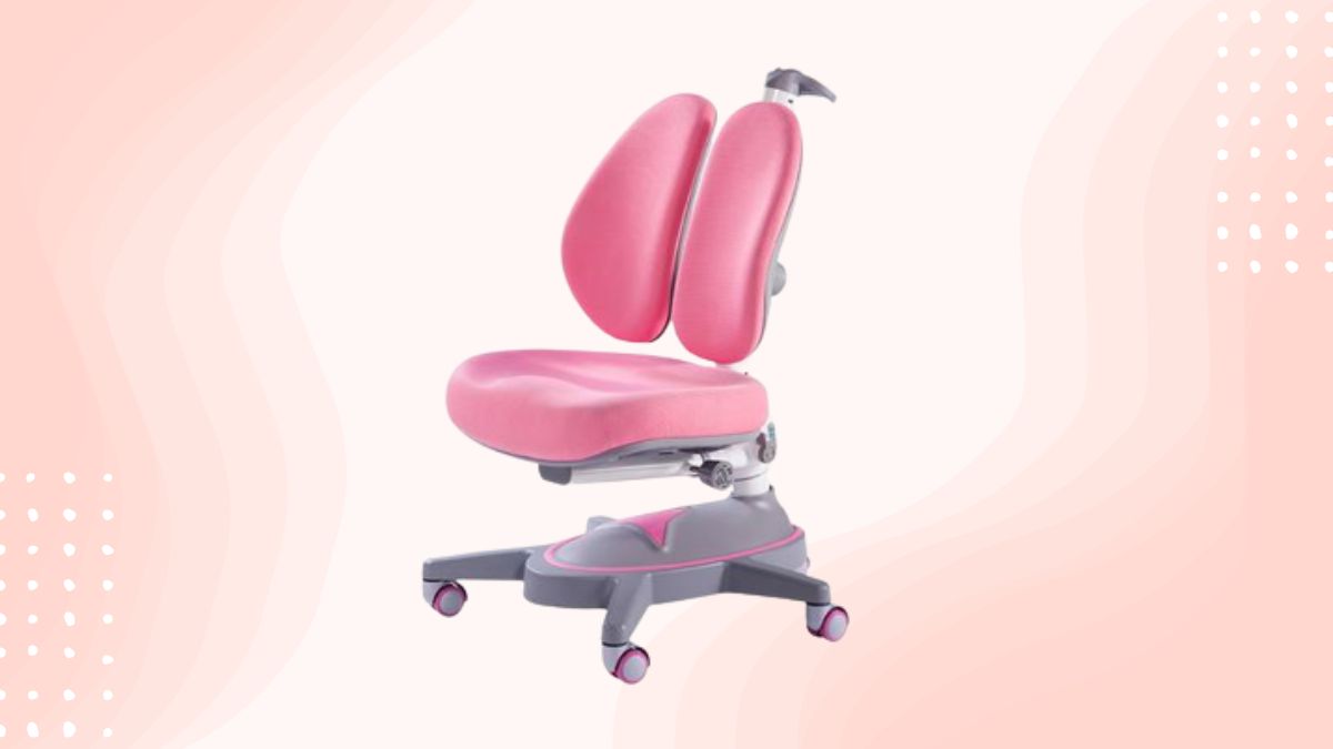 Review ghế chống gù Sincaye 216