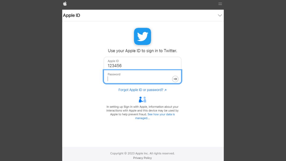 Bước 3: Cách đăng nhập Twitter bằng Apple