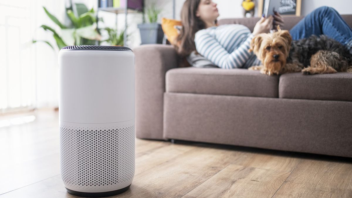 Máy lọc không khí xông tinh dầu cho nhà có thú cưng