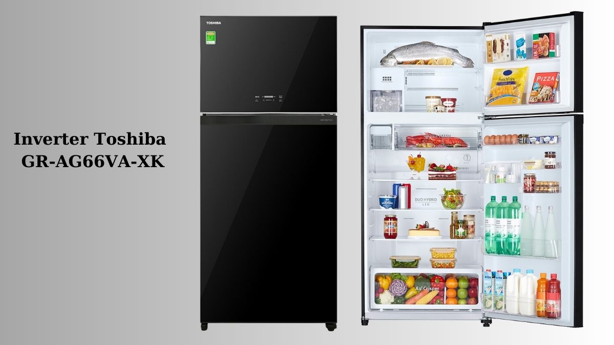 Tủ lạnh Toshiba có tốt không: Tủ lạnh Inverter Toshiba GR-AG66VA-XK