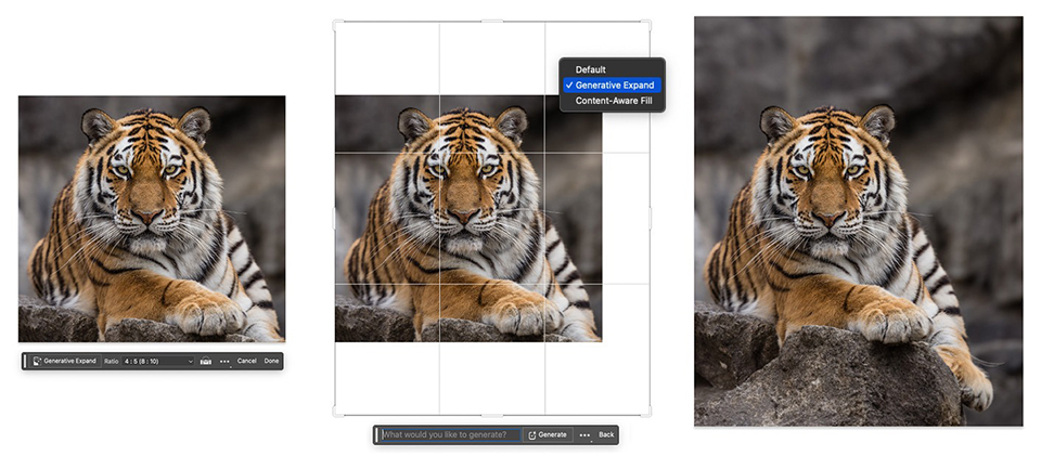 Photoshop beta 25.0 cải tiến Generative Expand