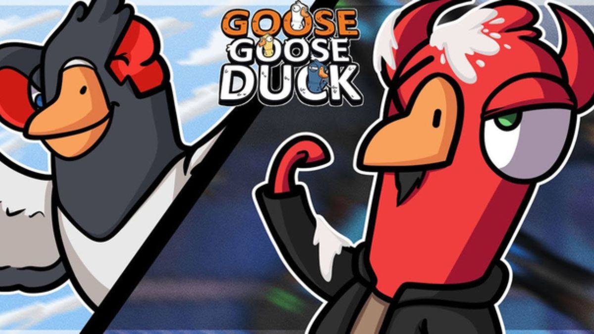 Lưu ý khi nhập code Goose Goose Duck