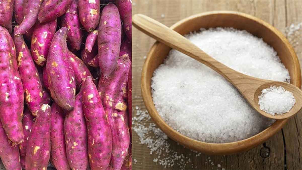 Nguyên liệu luộc khoai bằng lò vi sóng không cần nước