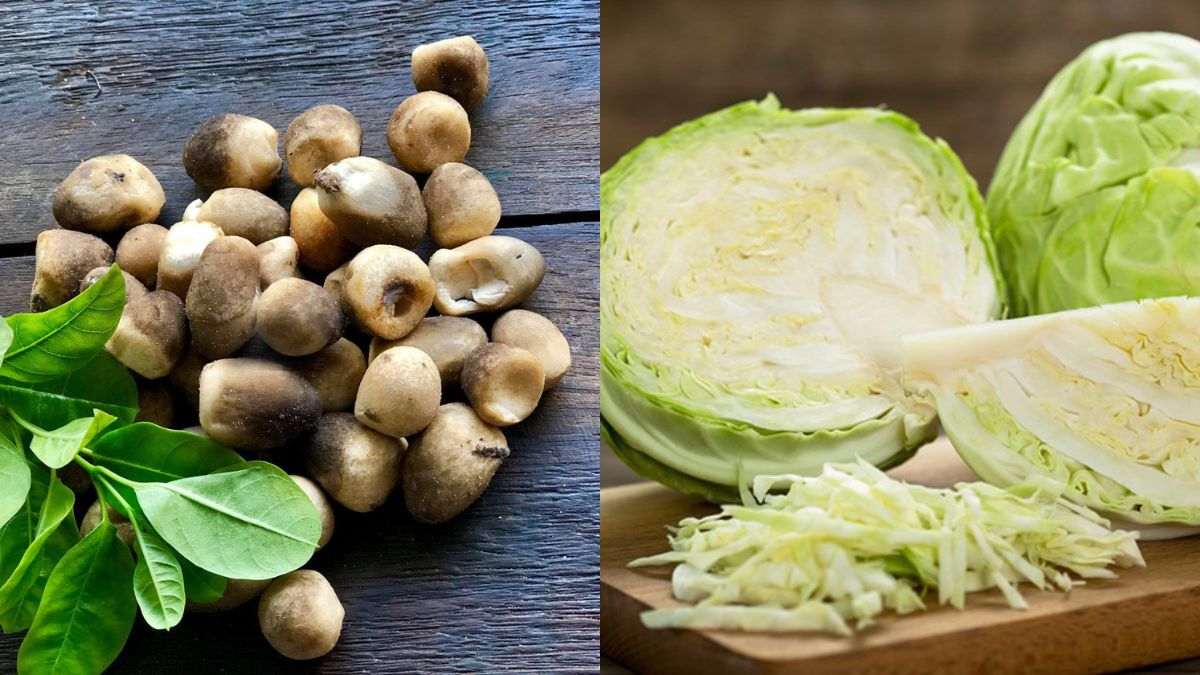 Canh bắp cải nấm rơm với vị ngọt thanh đậm đà