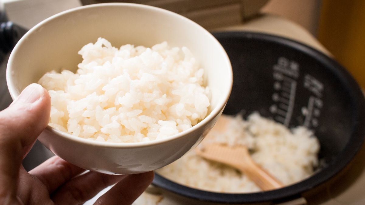 Nồi cơm điện cao tần là gì? Các mẫu nào đáng sở hữu nhất hiện nay?