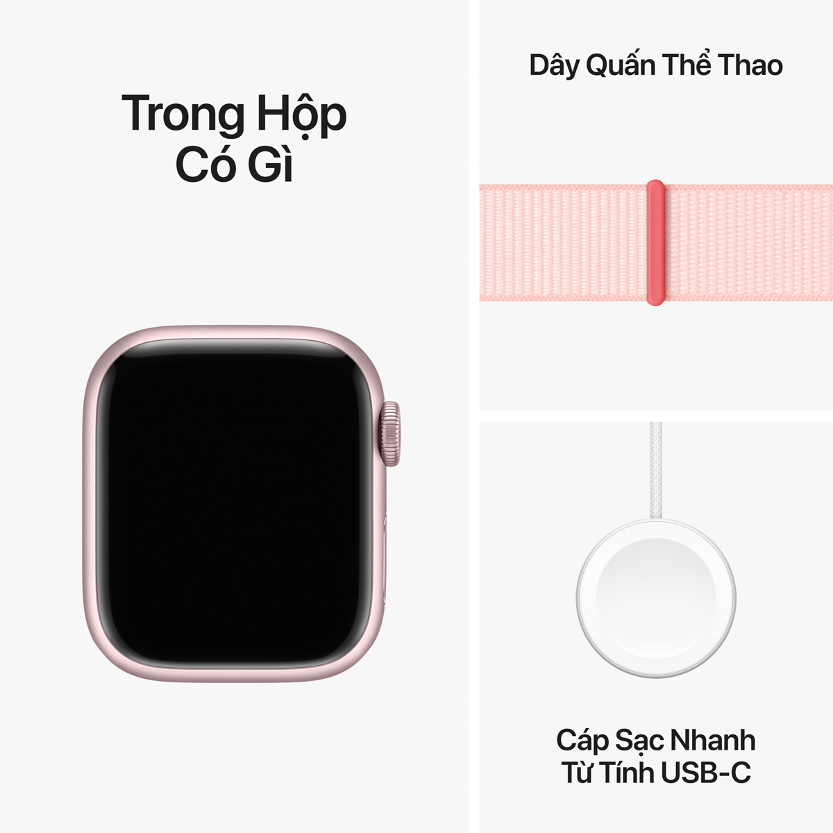Các phụ kiện bên trong hộp Apple Watch Series 9. Ảnh: Apple.com
