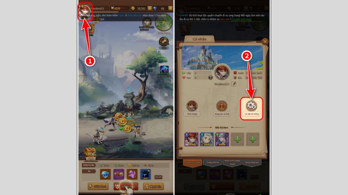 Hướng dẫn cách nhập code Elora