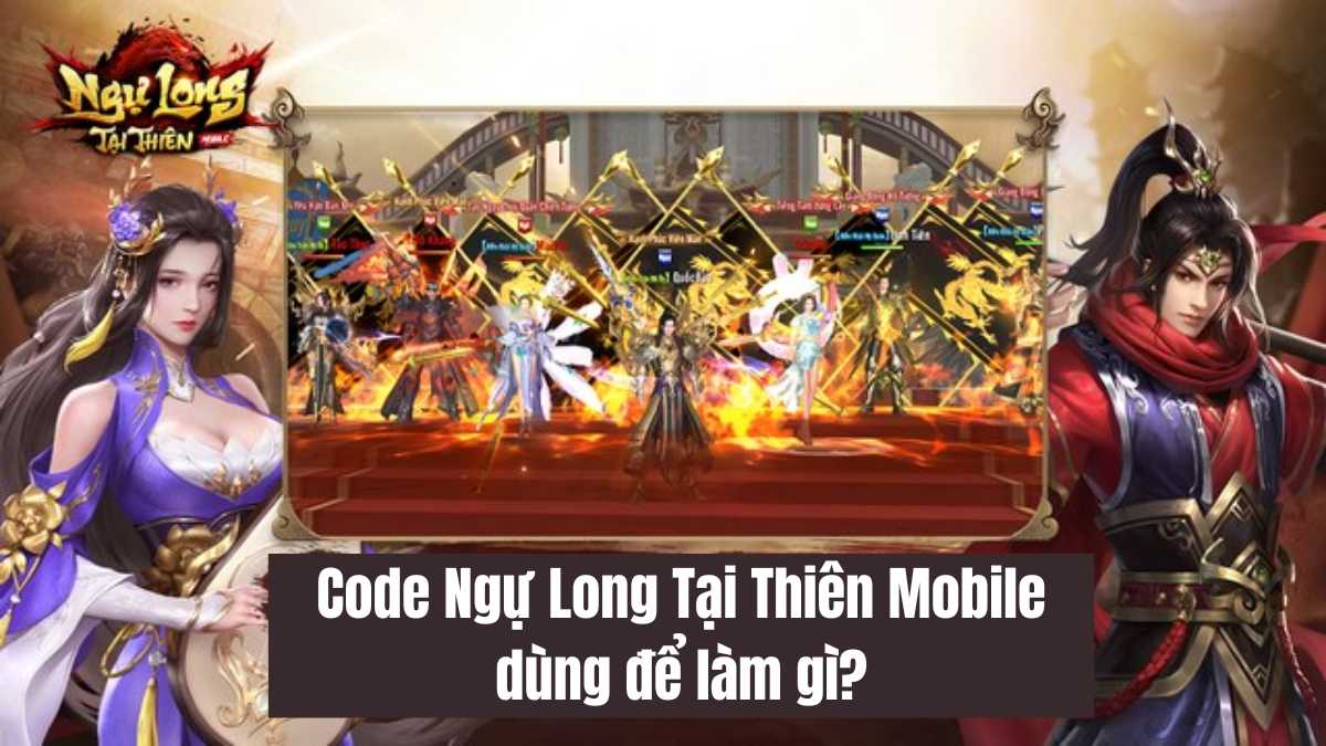 Code Ngự Long Tại Thiên Mobile dùng để làm gì?