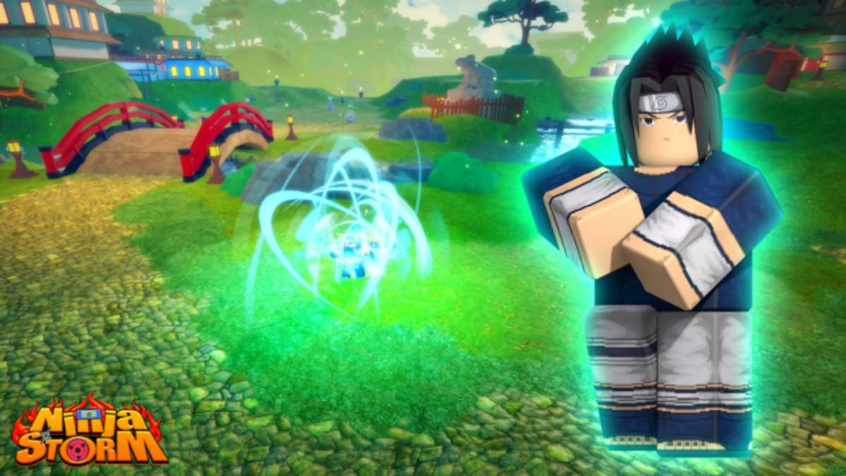 Lưu ý về cách nhập code Ninja Storm Simulator