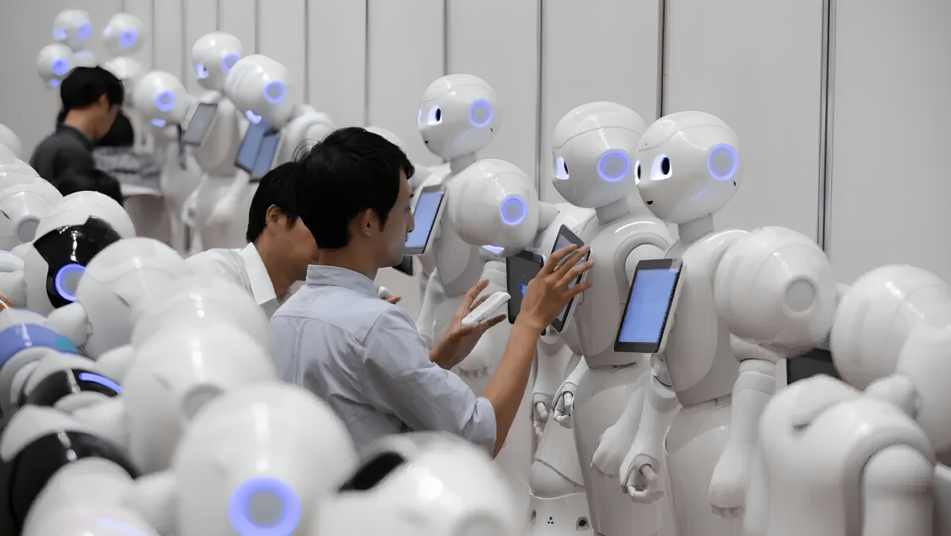 khu học chánh Kumamoto đã đưa ra một giải pháp hấp dẫn và sáng tạo - sử dụng robot có khả năng giao tiếp từ xa