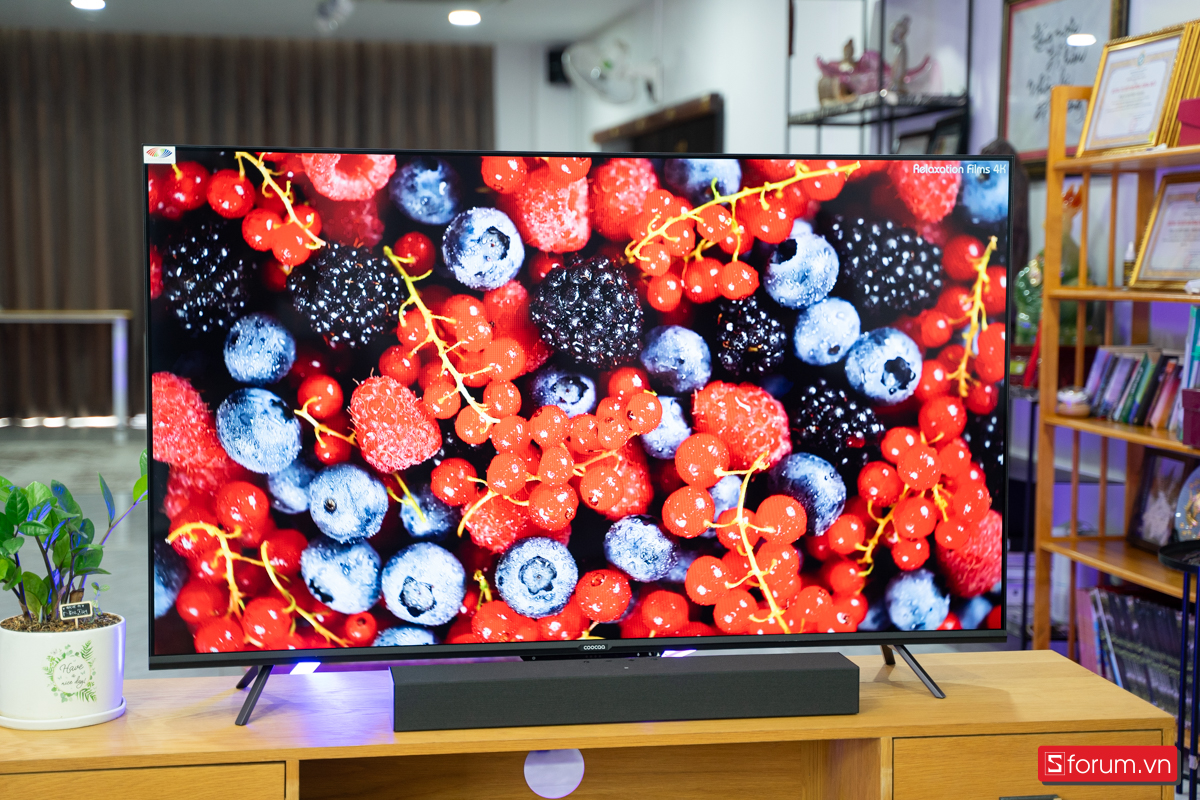 Coocaa 55 Inch 55V8
