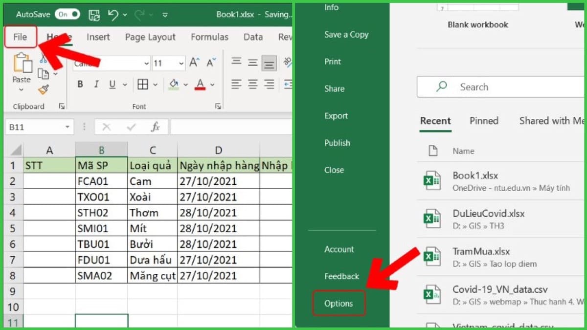 Kích hoạt Auto fill để đánh số thứ tự tự động trong Excel bước 1