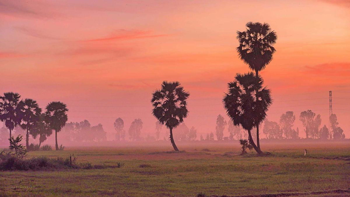 Cảnh đẹp đồng bằng