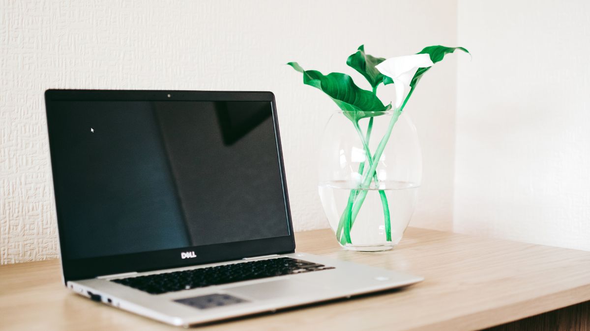 Nếu laptop bị đen màn hình chỉ thấy chuột thì phải làm sao?