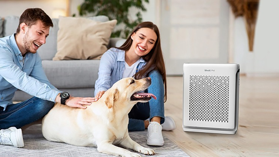 Máy lọc không khí Levoit Vital 100S