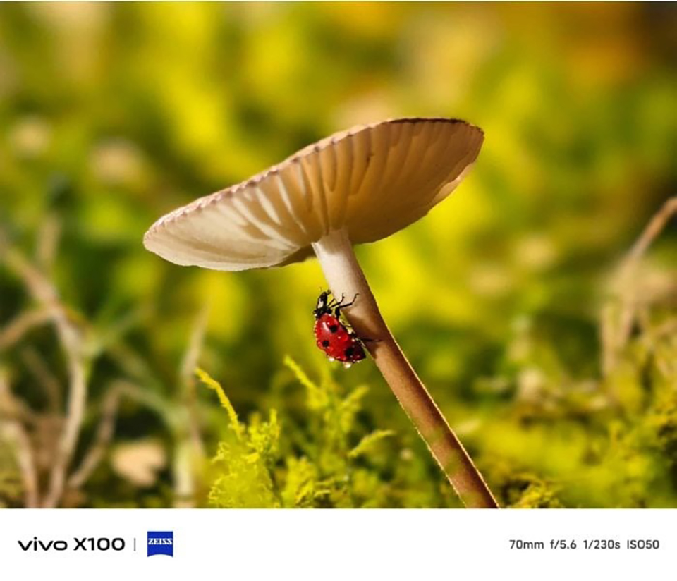 Ảnh tele macro của vivo X100