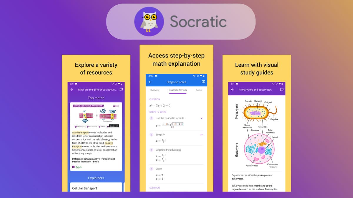 Có thể học tập với Socratic trực tiếp trên website không?