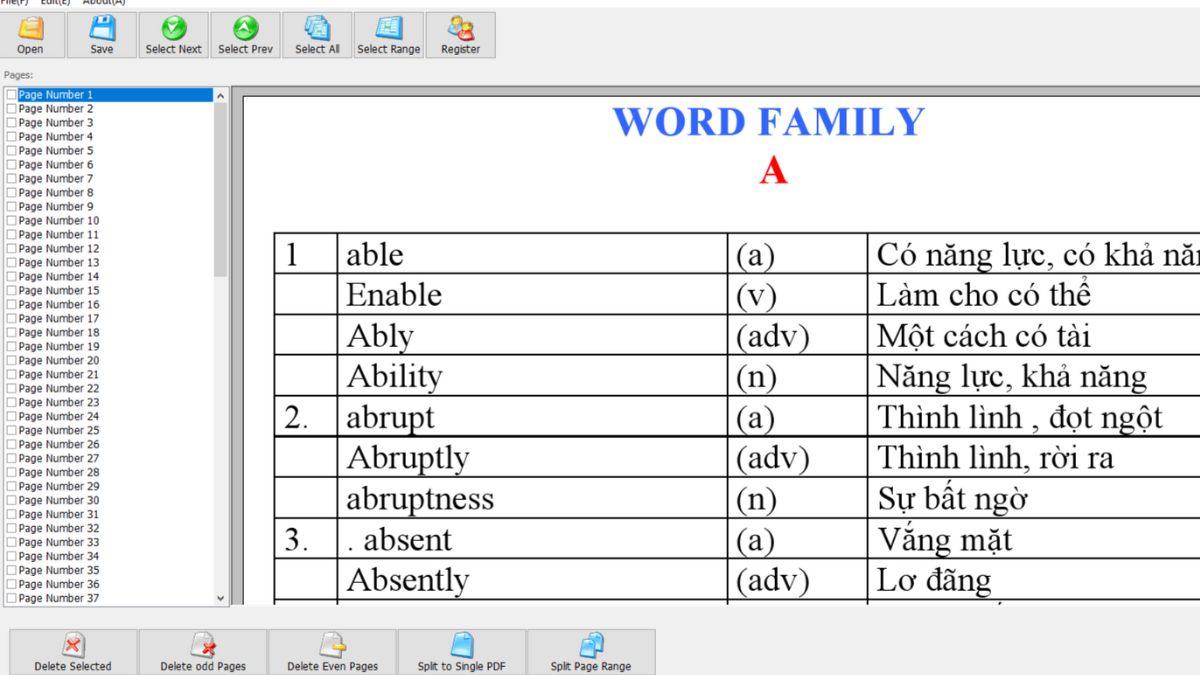 Cách xóa bớt trang trong PDF bằng PDF Page Delete bước 2
