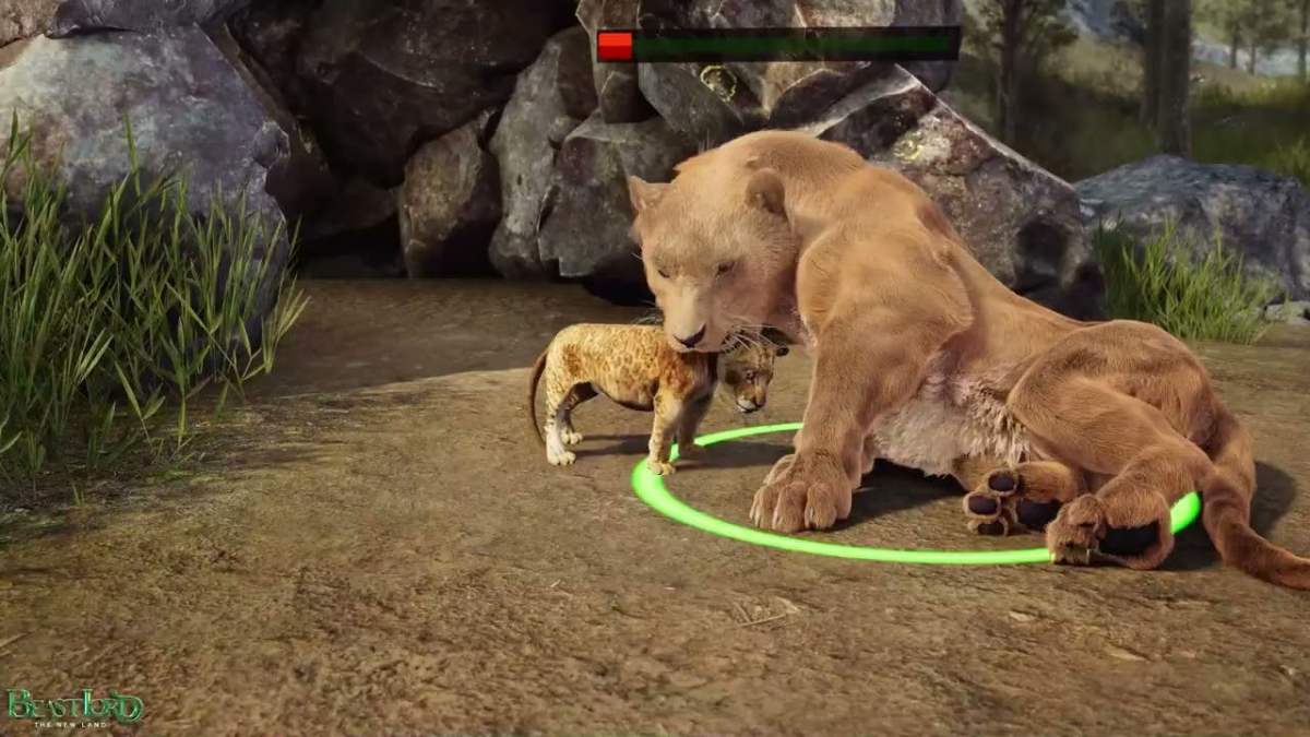 Những lưu ý khi nhập code Beast Lord