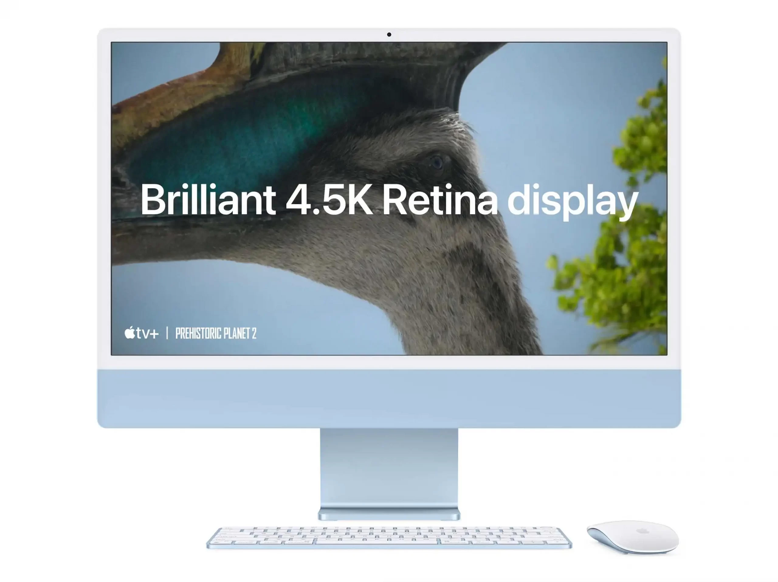 iMac 24 inch