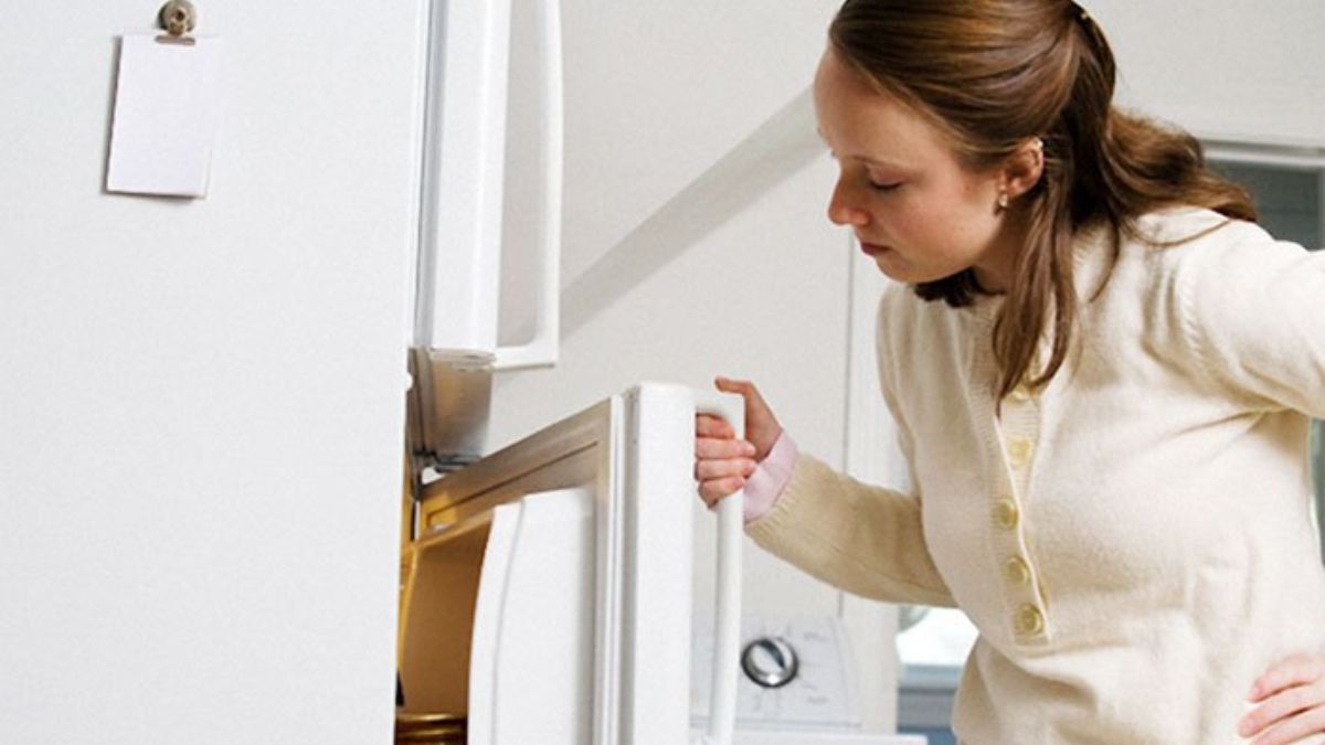Tại sao ngăn mát tủ lạnh bị đóng đá?