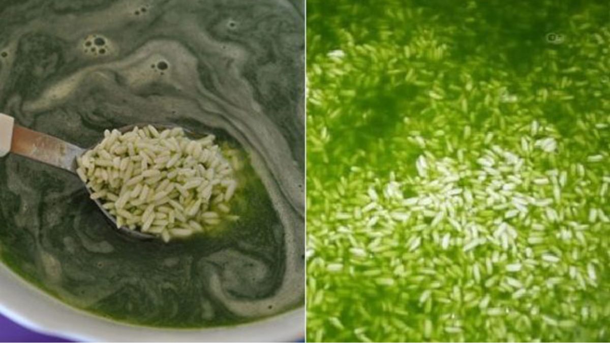 trang trí mâm bánh chưng ngày tết