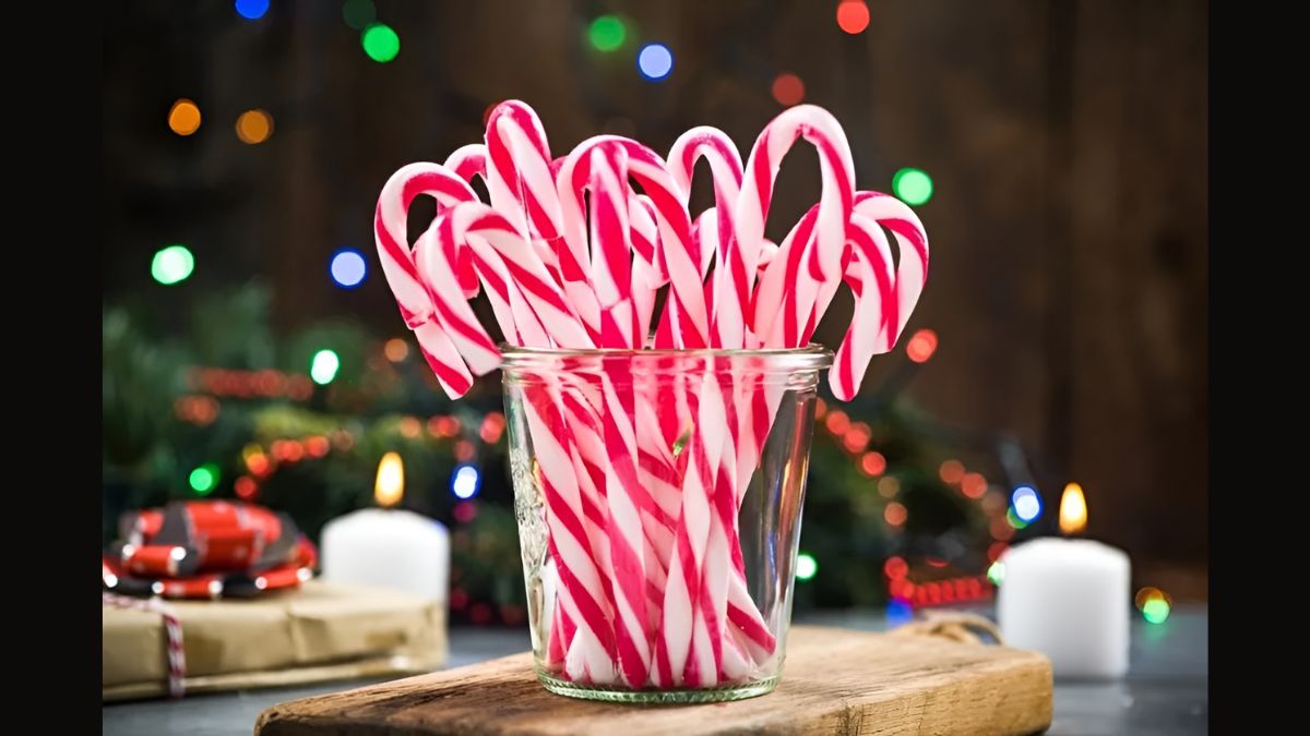 Trò chơi Giáng Sinh Noel cho dân văn phòng 2023
