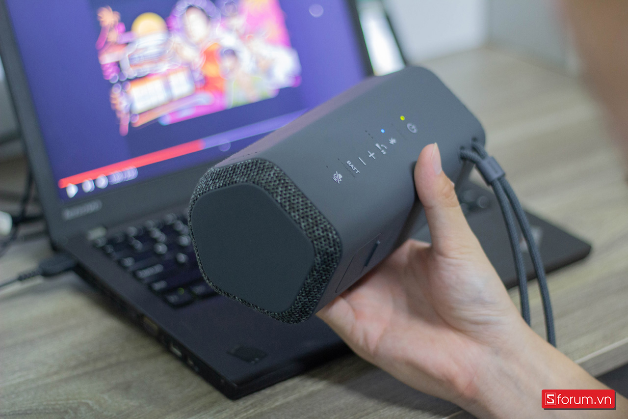 Sony SRS-XE200