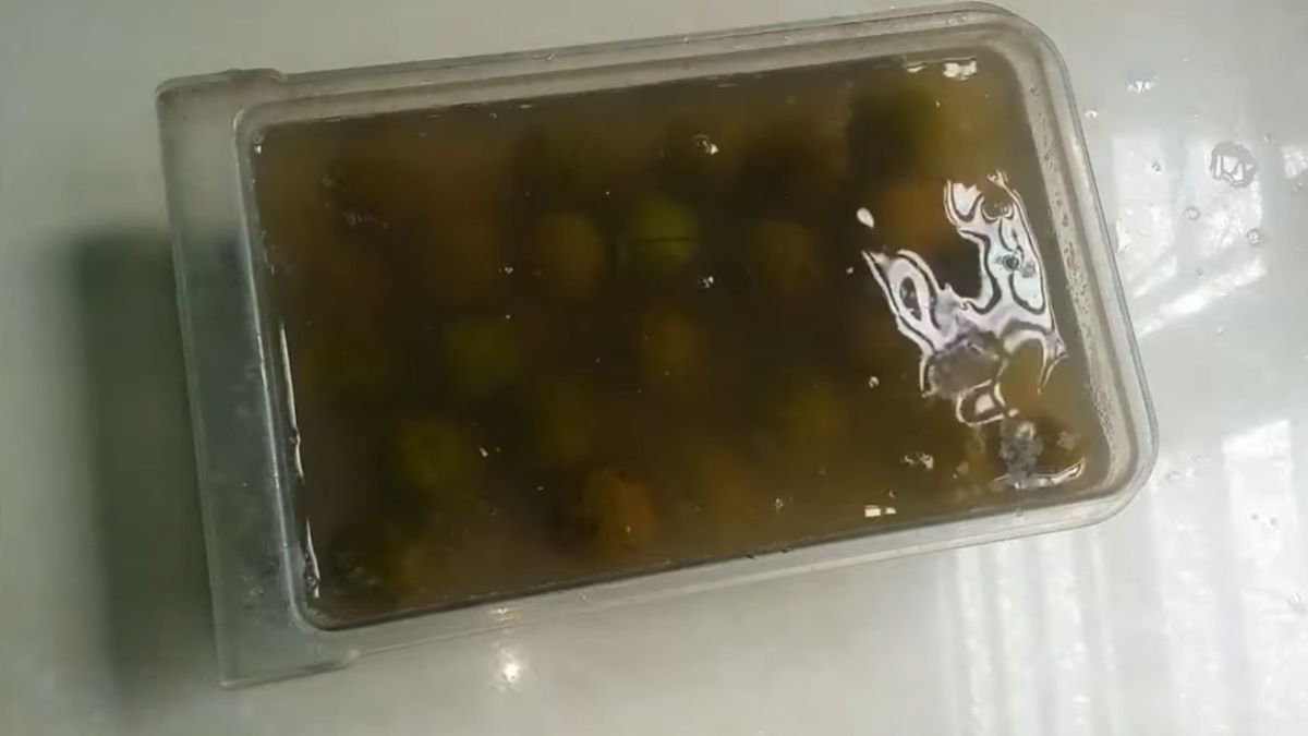 Cách làm ô mai sấu bao tử giòn bước 3