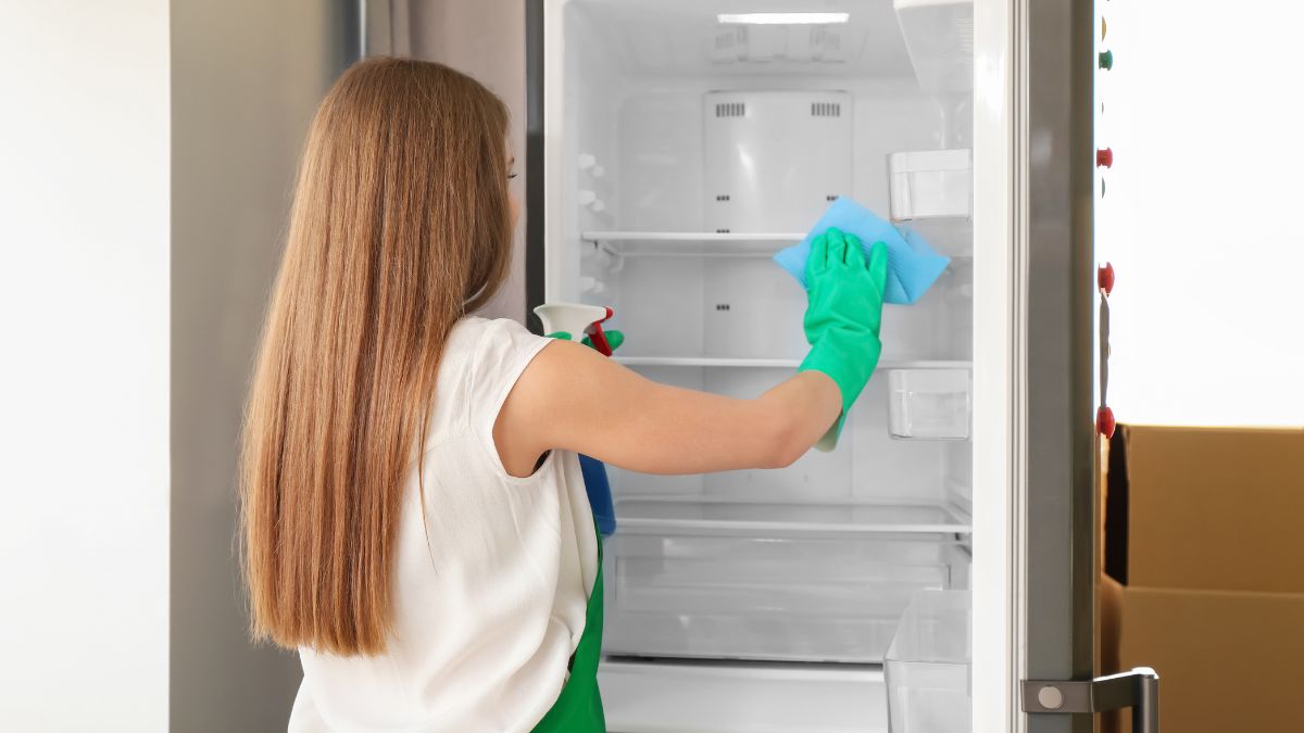 Cách sử dụng tủ lạnh Sharp hiệu quả và tiết kiệm điện 4