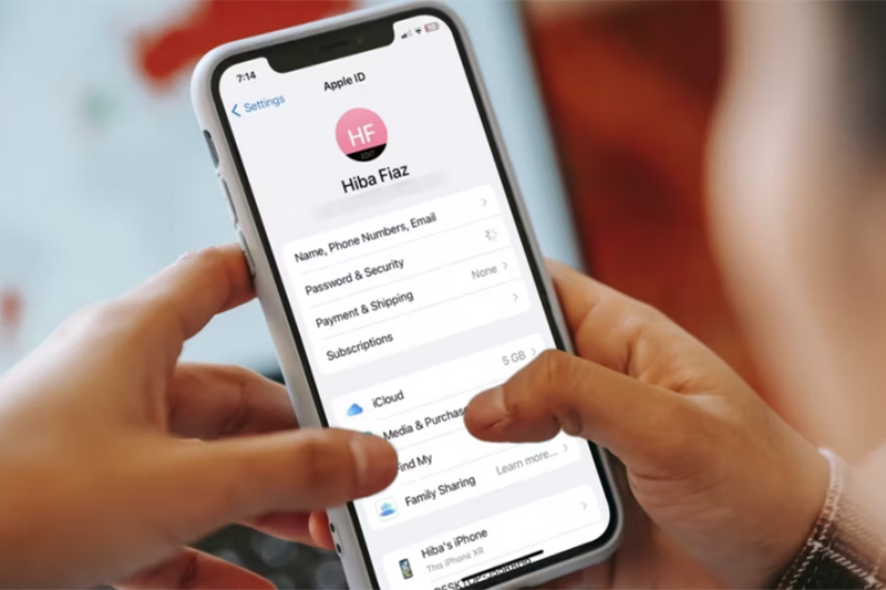Johnson sẽ chuyển tiền và đến các cửa hàng để mua đồ bằng Apple Pay