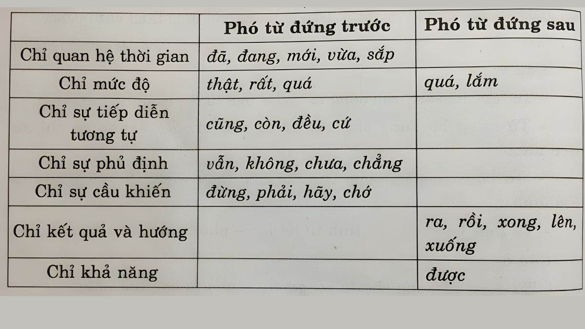 Sau Phó Từ Là Gì? Tìm Hiểu Vị Trí Và Cách Sử Dụng Hiệu Quả