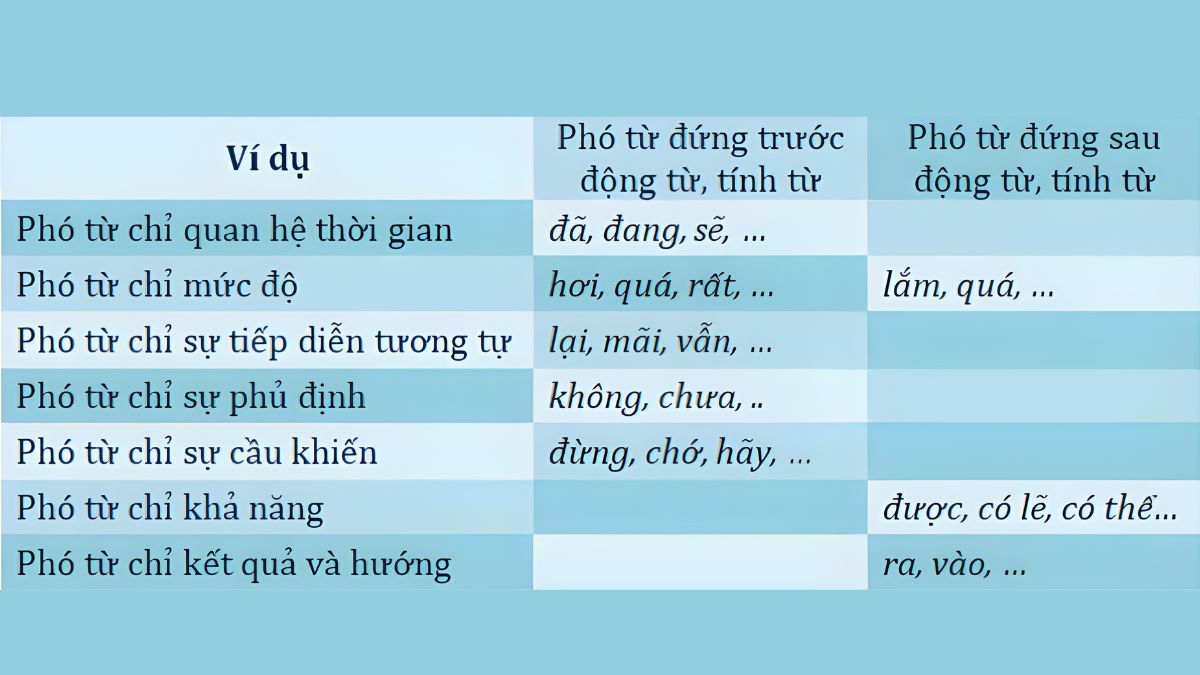 Cách sử dụng phó từ