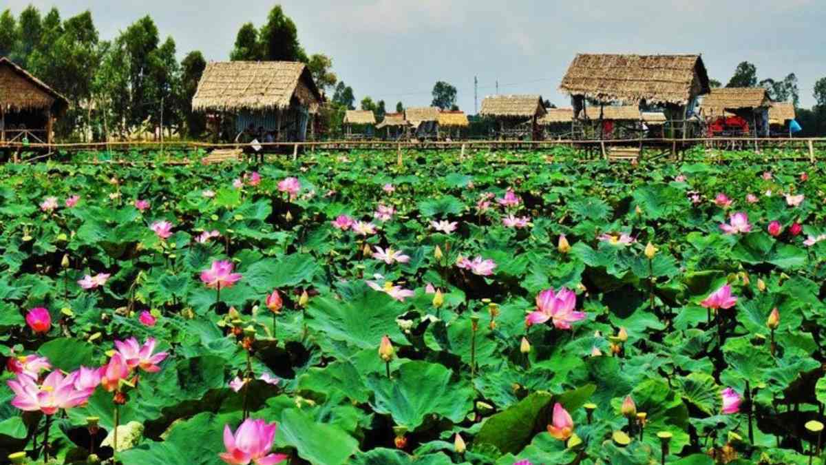 tết du lịch ở đâu, Đồng Tháp