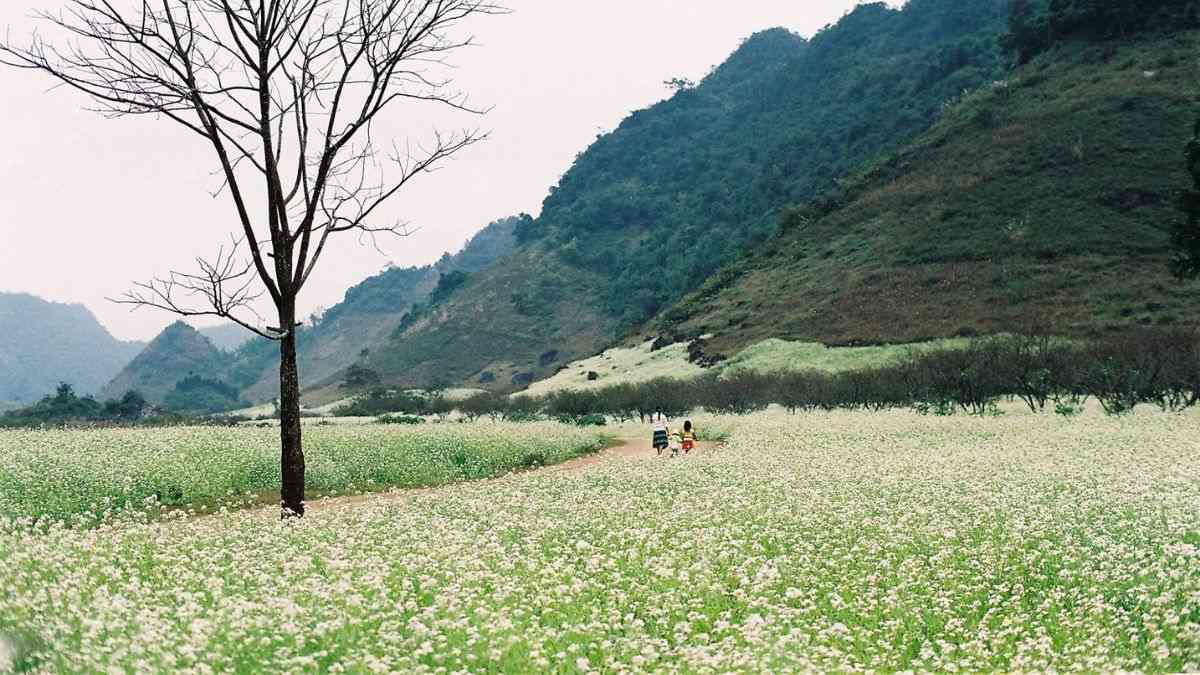 Tết nên đi du lịch ở đâu miền Bắc, Mai Châu, Hòa Bình