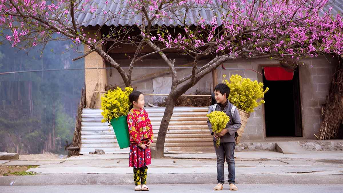 Tết nên đi du lịch ở đâu miền Bắc, Hà Giang