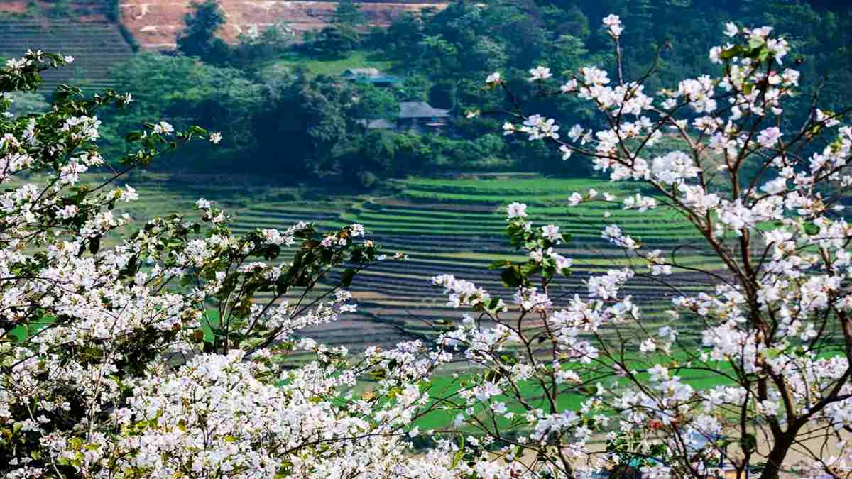 Tết nên đi du lịch ở đâu miền Bắc, Điện Biên