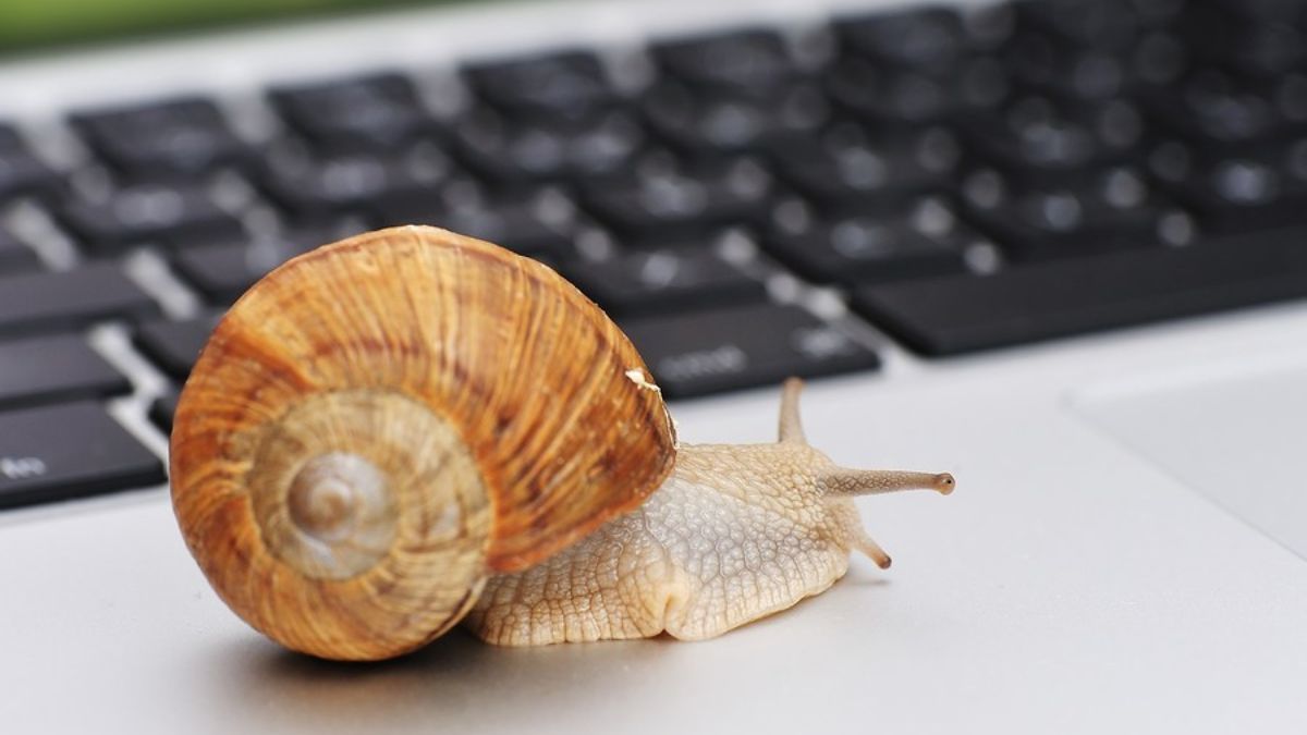 Làm thế nào để nhận biết Trojan?